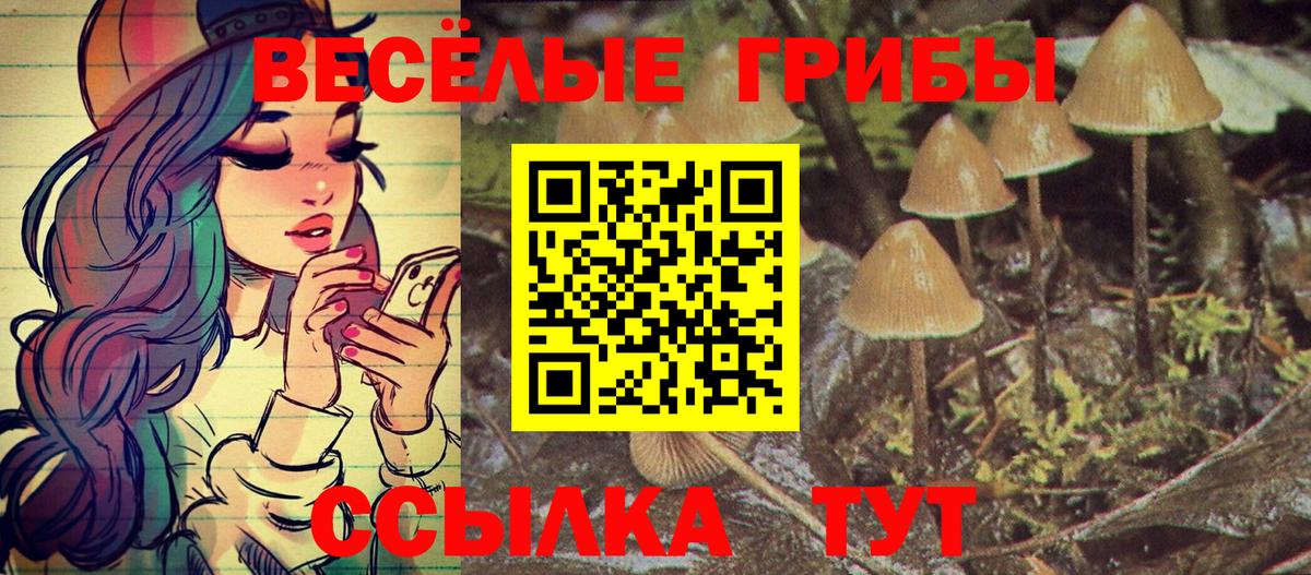Псилоцибиновые грибы прущие грибы Тамбов