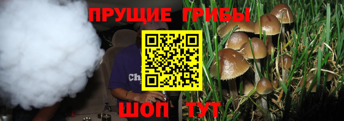 Тамбов  Псилоцибиновые грибы Cubensis  Вход с VPN  Псилоцибиновые грибы Psilocybine cubensis 